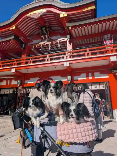 千葉神社の{uncategorized: "未分類", other: "その他", undefined: "問題あり", building: "その他建物", grave: "お墓", sacred_gate: "鳥居", guardian: "狛犬", statue: "像", buddha: "仏像", history: "歴史", nature: "自然", garden: "庭園", animal: "動物", pagoda: "塔", temizu: "手水舎", mountain_gate: "山門・神門", sanctuary: "本殿・本堂", subordinate: "末社・摂社", art: "芸術", scenery: "景色", jizo: "地蔵", ema: "絵馬", goshuin: "御朱印", omikuji: "おみくじ", items: "授与品その他", amulet: "お守り", goshuincho: "御朱印帳", eats: "食事", festival: "お祭り", votive_dance: "神楽", shichigosan: "七五三参", wedding: "結婚式", experience: "体験その他", initially: "初詣", around: "周辺", anti_infection: "感染症対策"}