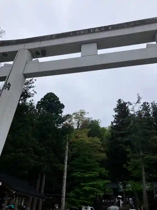 諏訪大社の鳥居