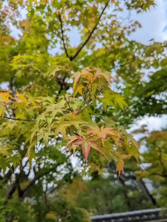 妙満寺(京都府)