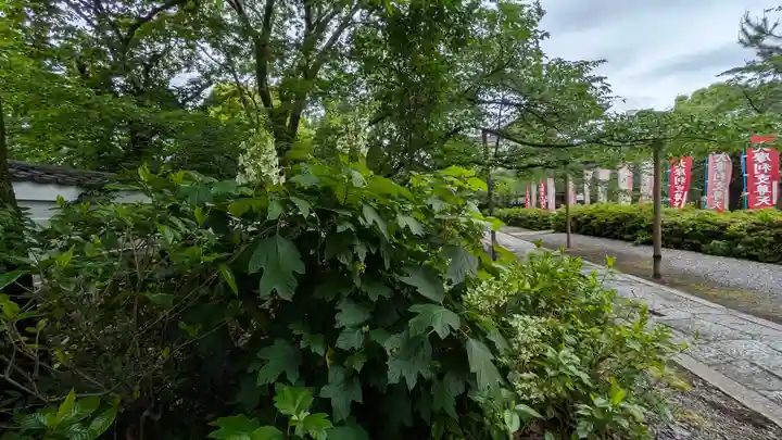 本法寺(京都府)