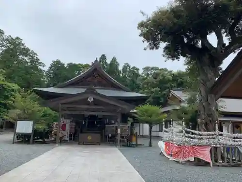 井伊谷宮の本殿・本堂