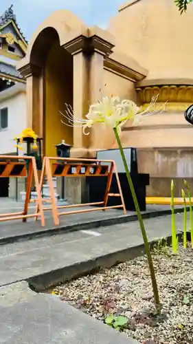 福王山  慈眼寺の自然