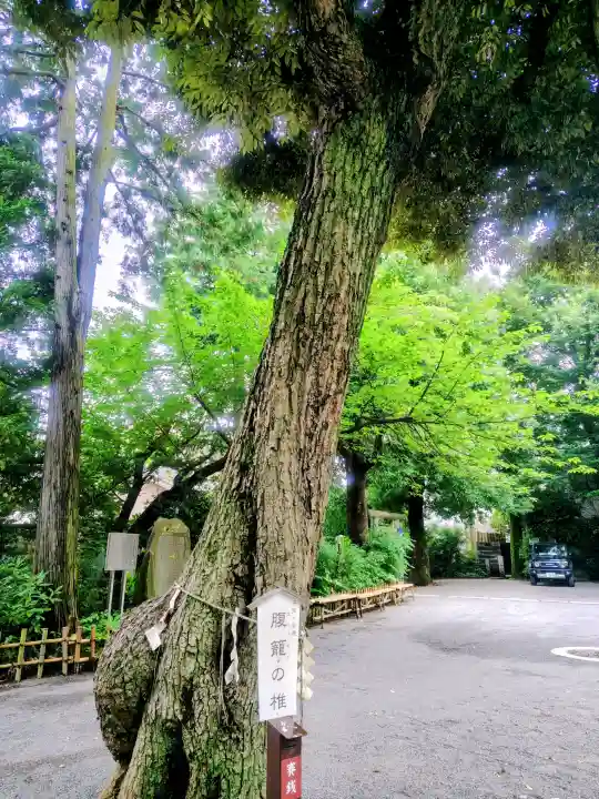 七社神社(東京都)