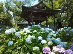 妙楽寺(神奈川県)