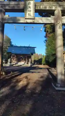 桑木神社(静岡県)