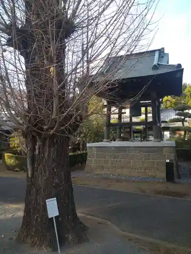 普済寺のその他建物