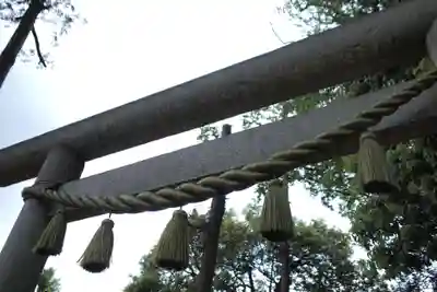 浅間神社(埼玉県)