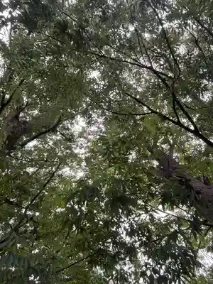 前川神社(埼玉県)