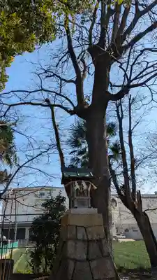 常磐神社(京都府)