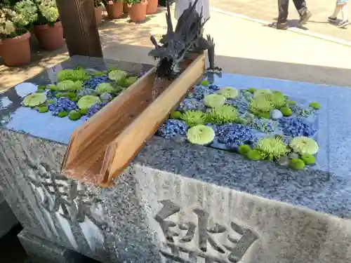 川越八幡宮(埼玉県)