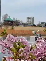 寛永寺不忍池弁天堂(東京都)