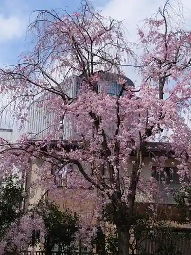 白山神社の自然