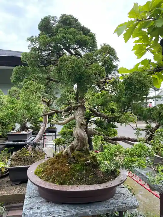 網走三吉神社(北海道)