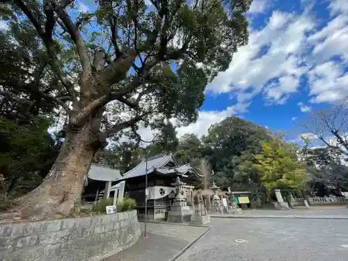 廣旗八幡宮の建物その他