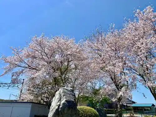 菊川観音 西福寺の景色