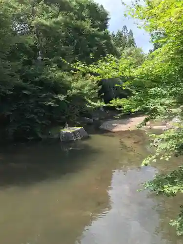 泰寧寺の庭園