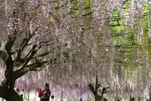 天台宗 五大山 白毫寺の庭園