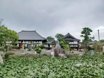 善長寺(埼玉県)