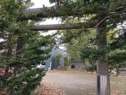 信濃神社の鳥居