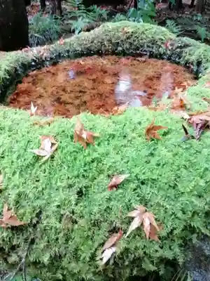 五所駒瀧神社の手水舎