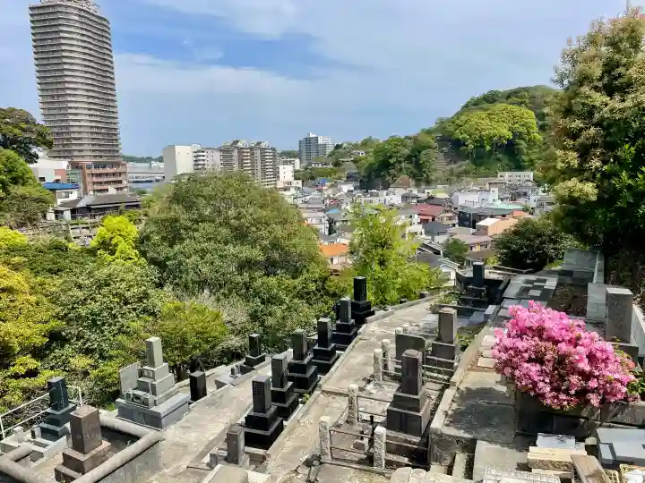 浄土寺の{uncategorized: "未分類", other: "その他", undefined: "問題あり", building: "その他建物", grave: "お墓", sacred_gate: "鳥居", guardian: "狛犬", statue: "像", buddha: "仏像", history: "歴史", nature: "自然", garden: "庭園", animal: "動物", pagoda: "塔", temizu: "手水舎", mountain_gate: "山門・神門", sanctuary: "本殿・本堂", subordinate: "末社・摂社", art: "芸術", scenery: "景色", jizo: "地蔵", ema: "絵馬", goshuin: "御朱印", omikuji: "おみくじ", items: "授与品その他", amulet: "お守り", goshuincho: "御朱印帳", eats: "食事", festival: "お祭り", votive_dance: "神楽", shichigosan: "七五三参", wedding: "結婚式", experience: "体験その他", initially: "初詣", around: "周辺", anti_infection: "感染症対策"}