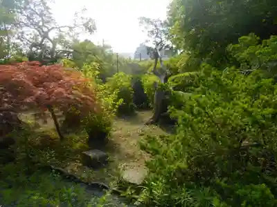 貞宗寺の庭園