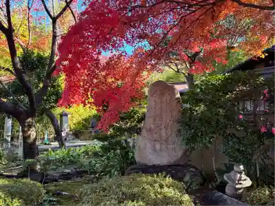 法観寺(京都府)