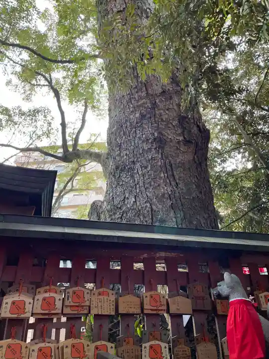 長田神社(兵庫県)