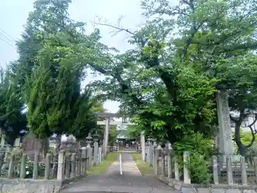 天満神社の{uncategorized: "未分類", other: "その他", undefined: "問題あり", building: "その他建物", grave: "お墓", sacred_gate: "鳥居", guardian: "狛犬", statue: "像", buddha: "仏像", history: "歴史", nature: "自然", garden: "庭園", animal: "動物", pagoda: "塔", temizu: "手水舎", mountain_gate: "山門・神門", sanctuary: "本殿・本堂", subordinate: "末社・摂社", art: "芸術", scenery: "景色", jizo: "地蔵", ema: "絵馬", goshuin: "御朱印", omikuji: "おみくじ", items: "授与品その他", amulet: "お守り", goshuincho: "御朱印帳", eats: "食事", festival: "お祭り", votive_dance: "神楽", shichigosan: "七五三参", wedding: "結婚式", experience: "体験その他", initially: "初詣", around: "周辺", anti_infection: "感染症対策"}