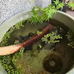 青林山　延命寺の動物