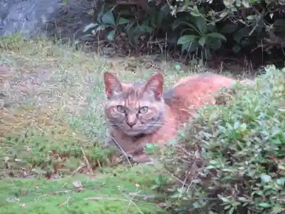 智恩寺(京都府)