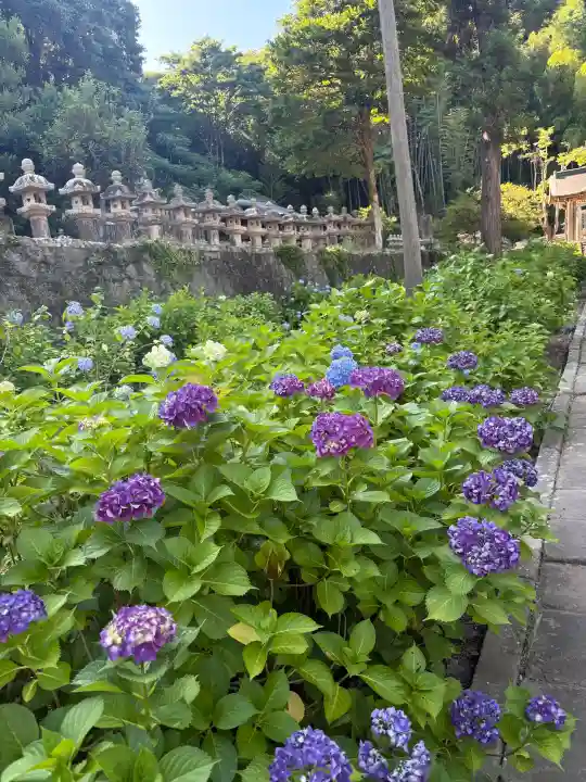 月照寺(島根県)