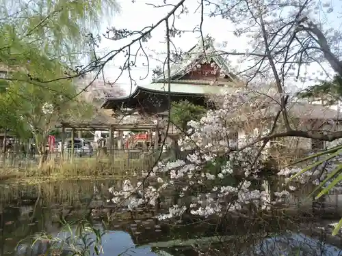 手児奈霊神堂の庭園