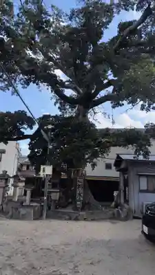 櫟谷七野神社(京都府)