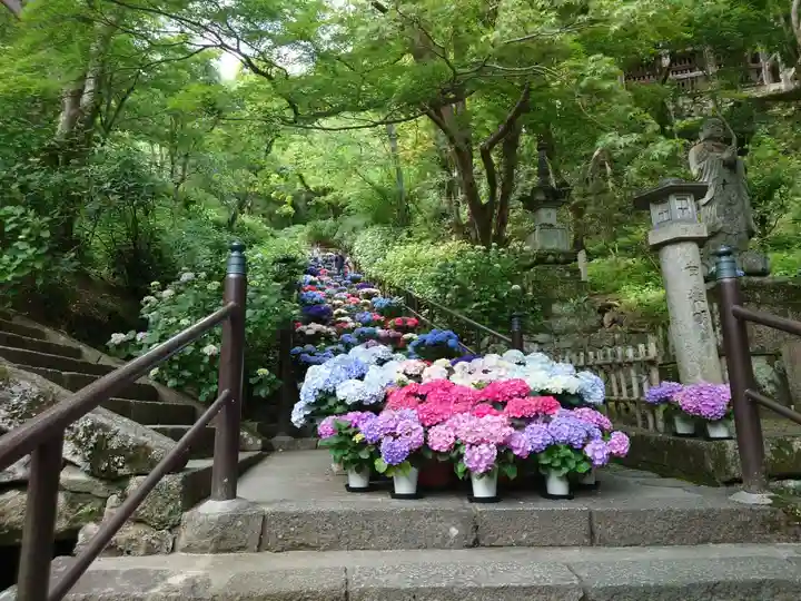 長谷寺(奈良県)