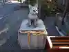 阿豆佐味天神社 立川水天宮の狛犬