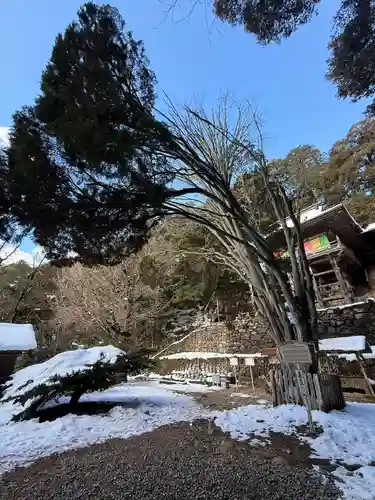 日龍峯寺(高澤観音)(美濃清水)(岐阜県)