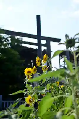 伊勢山皇大神宮(神奈川県)