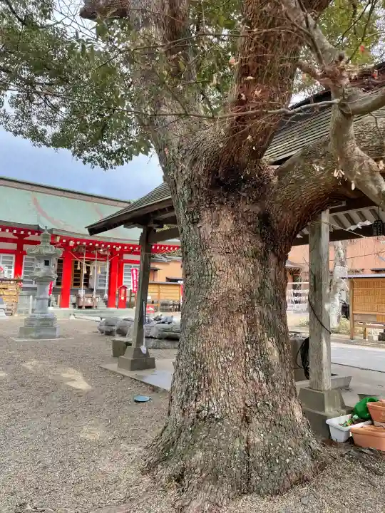 鹿島御児神社(宮城県)