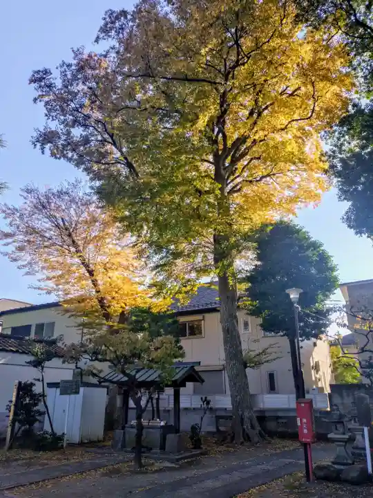 田端神社(東京都)