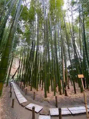 報国寺(神奈川県)