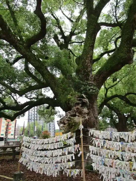 諫早神社(九州総守護 四面宮)(長崎県)