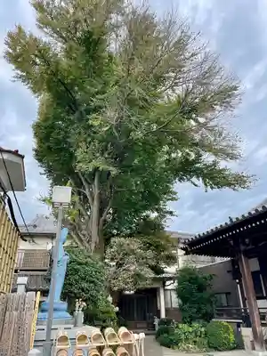 自性院(東京都)