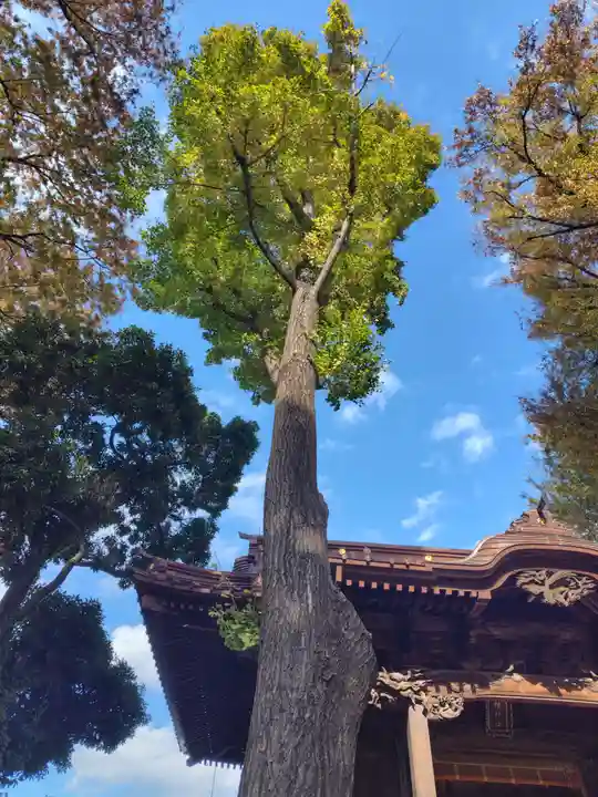 戸越八幡神社(東京都)