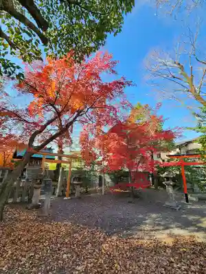 呉服神社(大阪府)