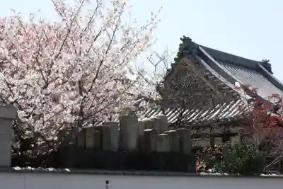 日蓮宗 安楽寺のその他建物