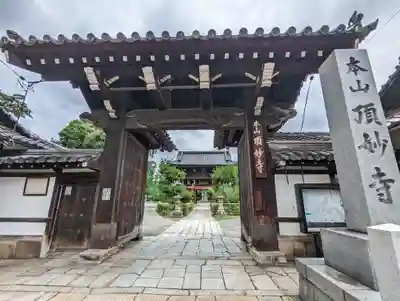 頂妙寺の山門・神門