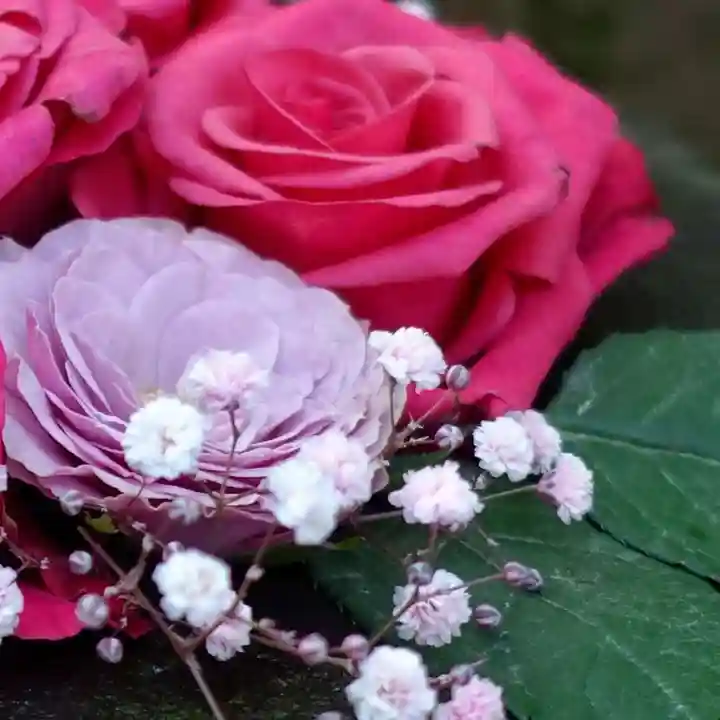 帯廣神社の芸術