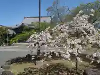 満福寺(三好稲荷閣)(愛知県)