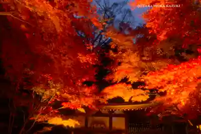 長谷寺(神奈川県)